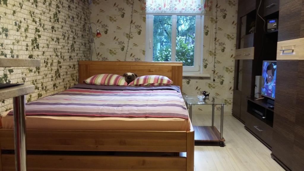 Small And Cozy Studio Apartment Рига Екстер'єр фото